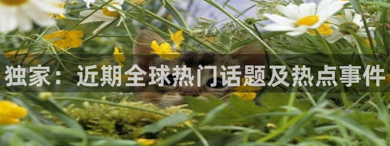 汇赢国际pg电子官网怎么进