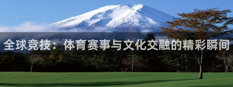 汇赢国际