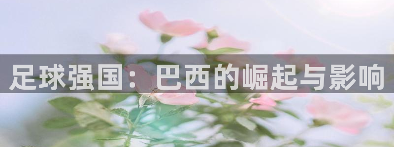 汇赢天下