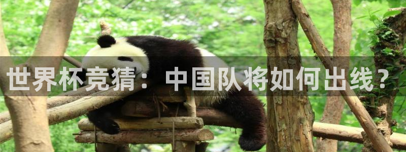 汇赢国际h5官网