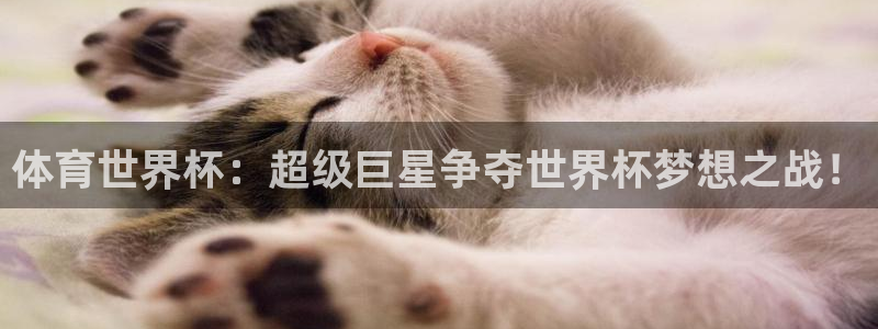 汇赢