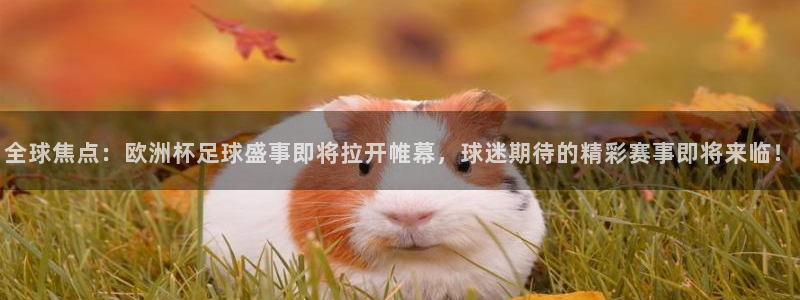 汇赢国际入