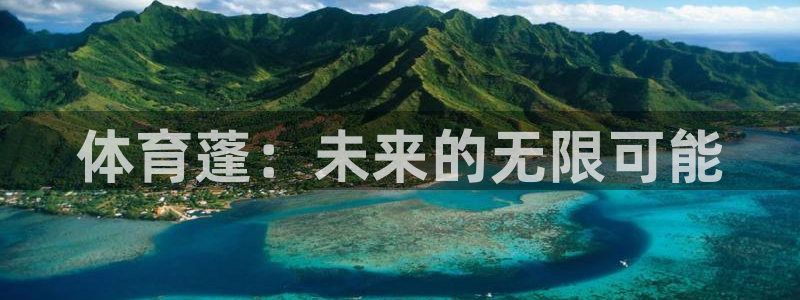 汇赢国际摸拟器