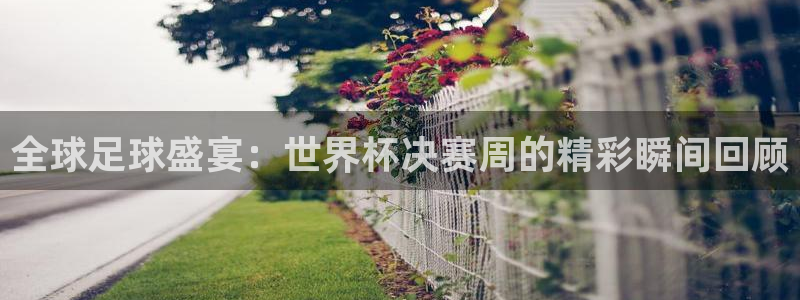 汇赢国际官网登录入口在哪