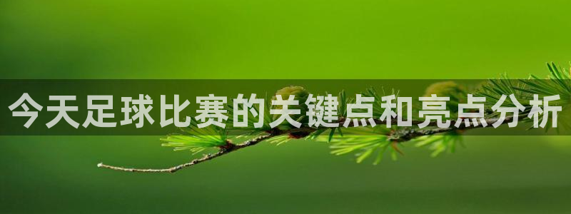 逸升汇赢