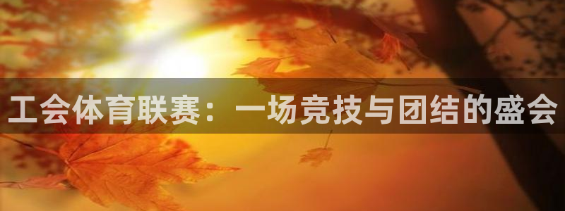 财富汇赢