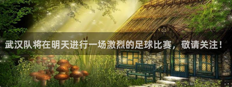 汇赢国际pg电子官网怎么进