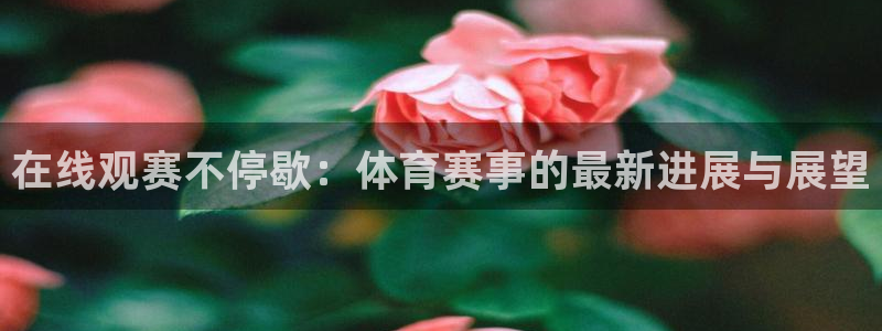汇赢国际pg电子官网怎么进