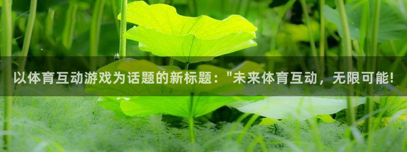 汇赢国际入口链接