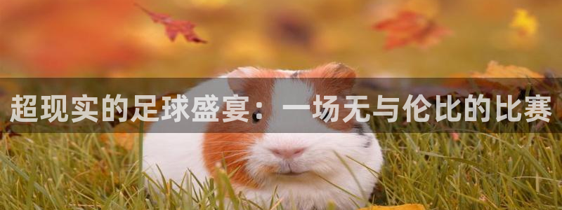 汇赢国际链接获取