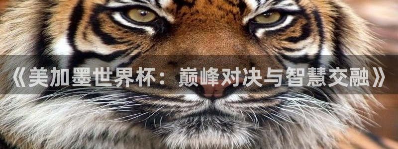 汇赢怎么样