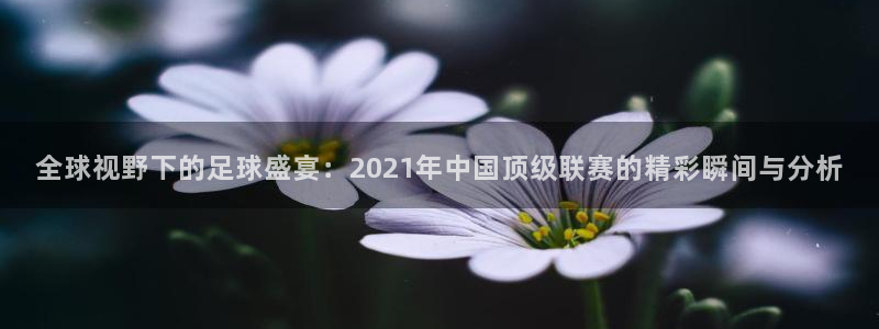 汇赢教育