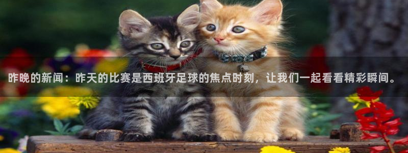 汇赢