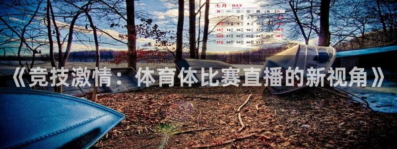 汇赢国际官网登录入口在哪