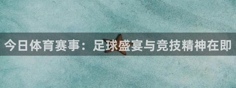 步步汇赢