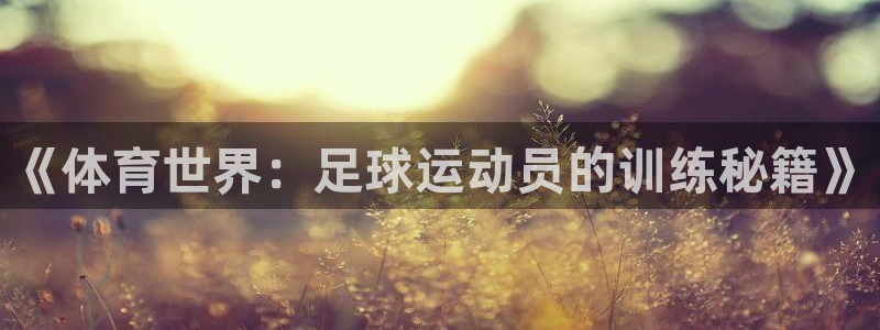 汇赢国际官网入口下载手机版
