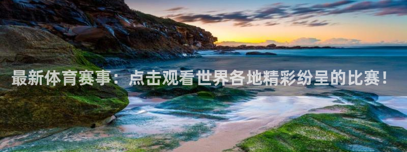 爱汇赢