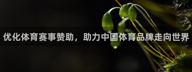 中视汇赢