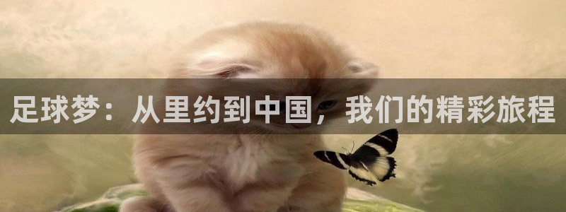 汇赢国际链接获取