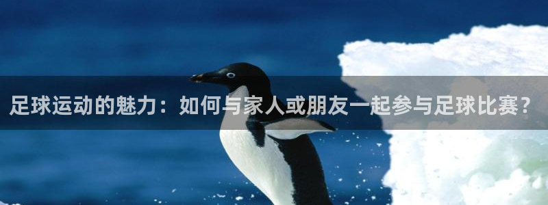 汇赢销