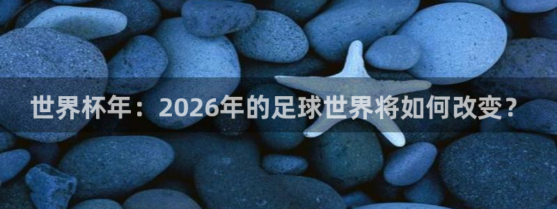 汇赢国际摸拟器
