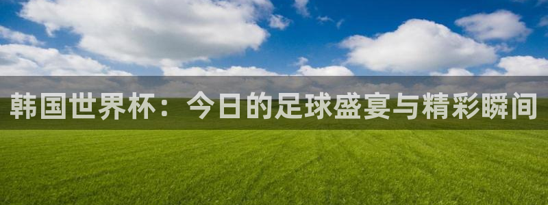汇赢国际链