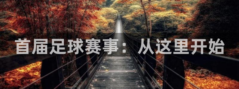 汇赢国际app是什么
