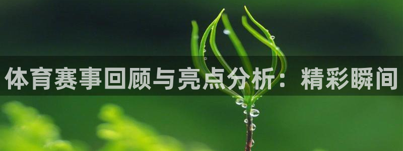 爱汇赢