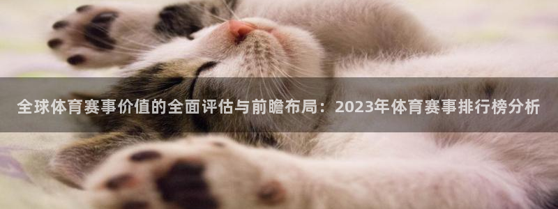 汇赢国际链