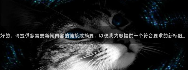 汇赢国际链接获取