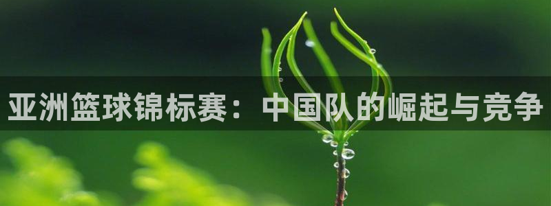 汇赢国际app是什么