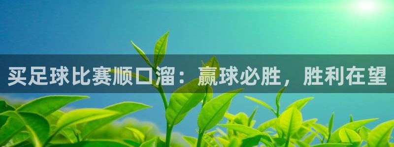 汇赢怎么样