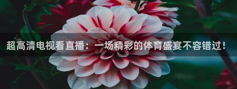步步汇赢
